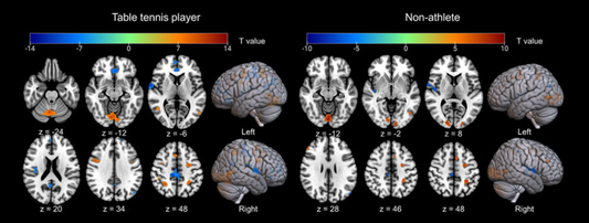 Table Tennis as Brain Training: The Benefits for Older Adults